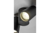 Ceiling luminaire LUPO, aluminum, 17.5x5.6x11.5, IP20, 2*GU10, max. 50W, round, black