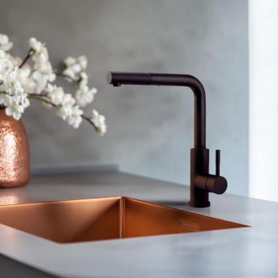 Pure.Sink Elite Steel Spark-S kuchyňská baterie Matná černá s výsuvnou hubicí PS8041-10