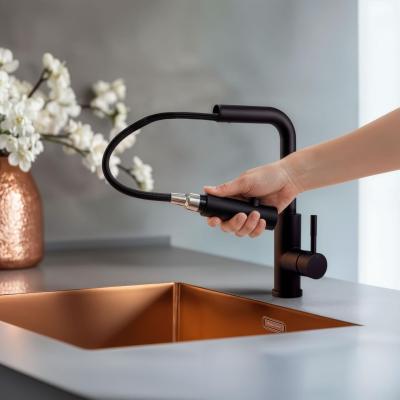 Pure.Sink Elite Steel Spark-S kuchyňská baterie Matná černá s výsuvnou hubicí PS8041-10
