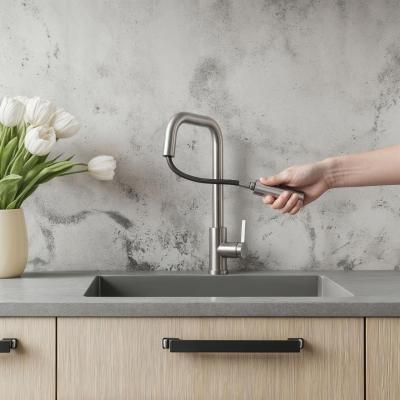 Pure.Sink Elite Steel Crystal-S kuchyňská baterie z nerezové oceli s výsuvnou výpustí PS8050-02.