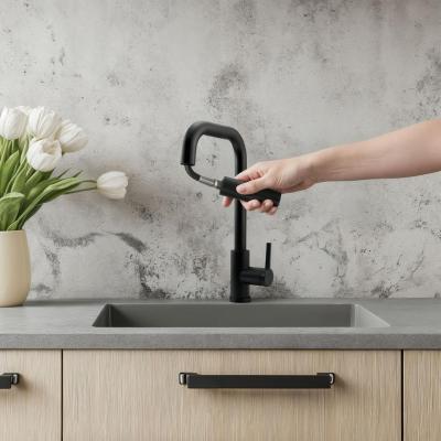 Pure.Sink Elite Steel Crystal-S kuchyňská baterie Matná černá s výsuvnou hubicí PS8050-10