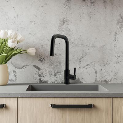 Pure.Sink Elite Steel Crystal-S kuchyňská baterie Matná černá s výsuvnou hubicí PS8050-10