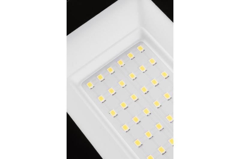 NELI Přenosný reflektor, LED, 30W, 2700lm, 6400K, AC220-240V, IP65, 1.5m kabel